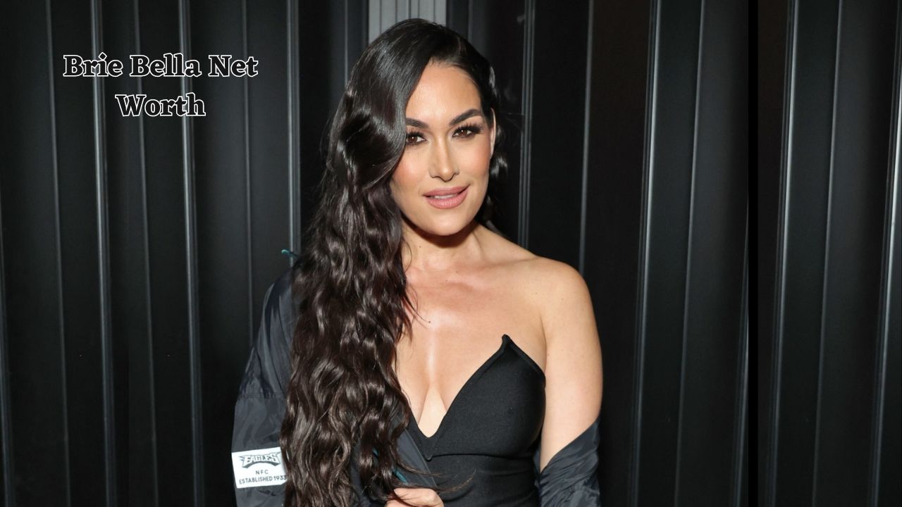 Brie Bella net worth