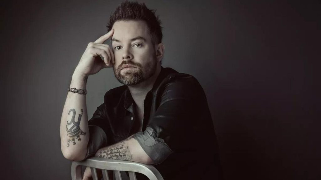 David Cook Income