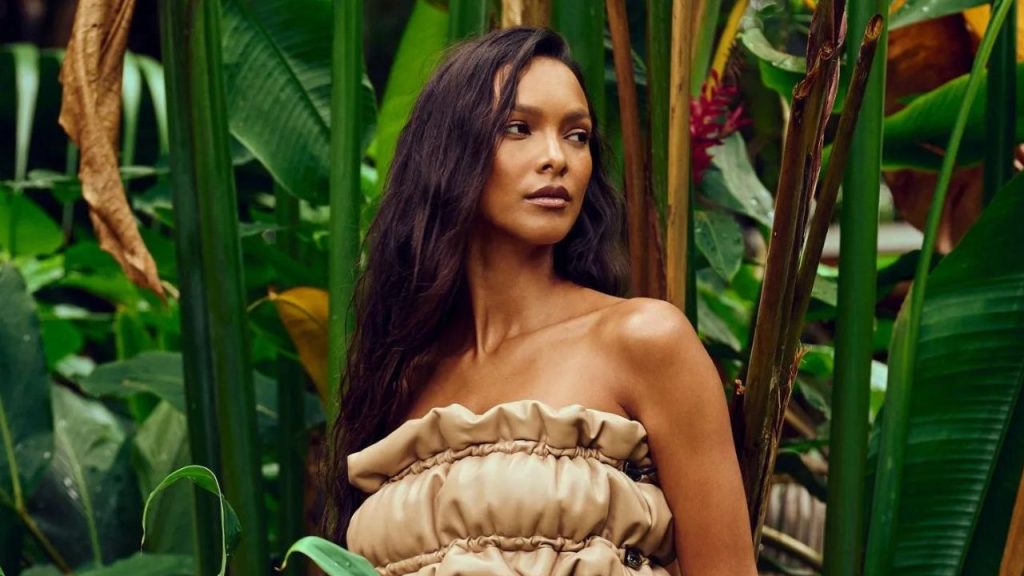 Lais Ribeiro income