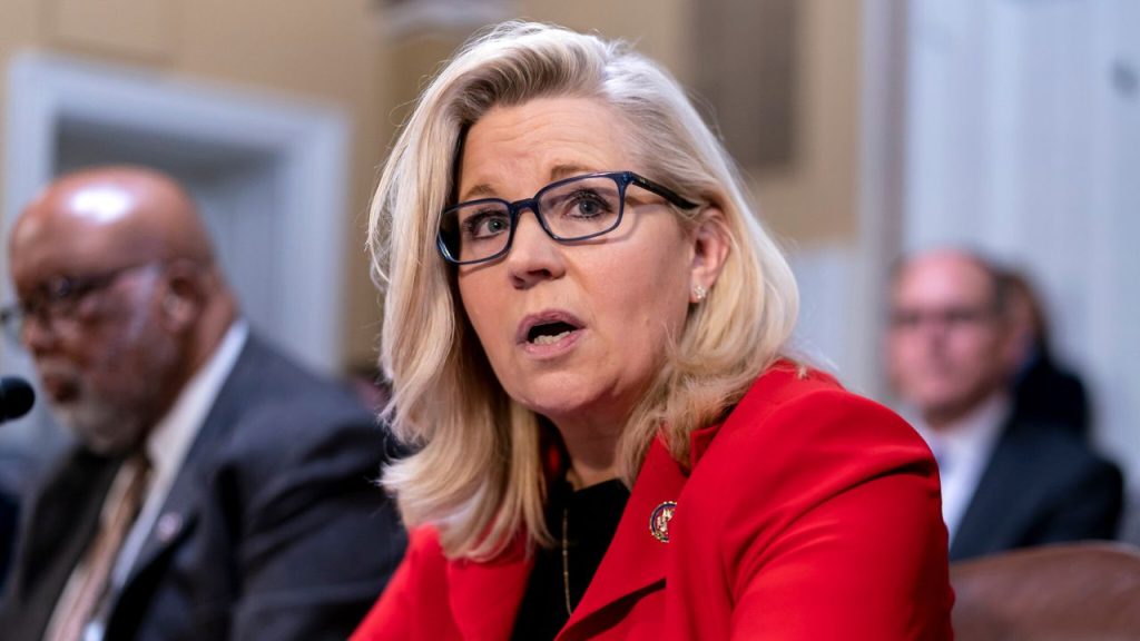 Liz Cheney Income