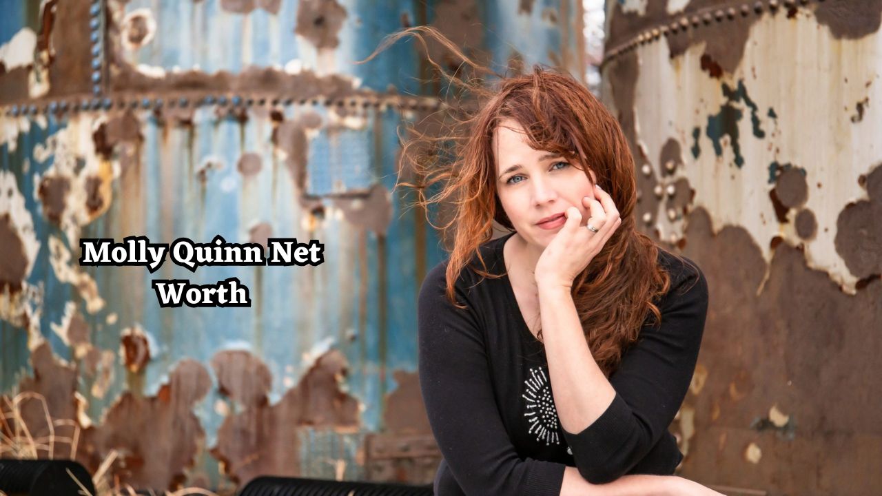 Molly Quinn net worth