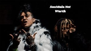 SosMula Net Worth