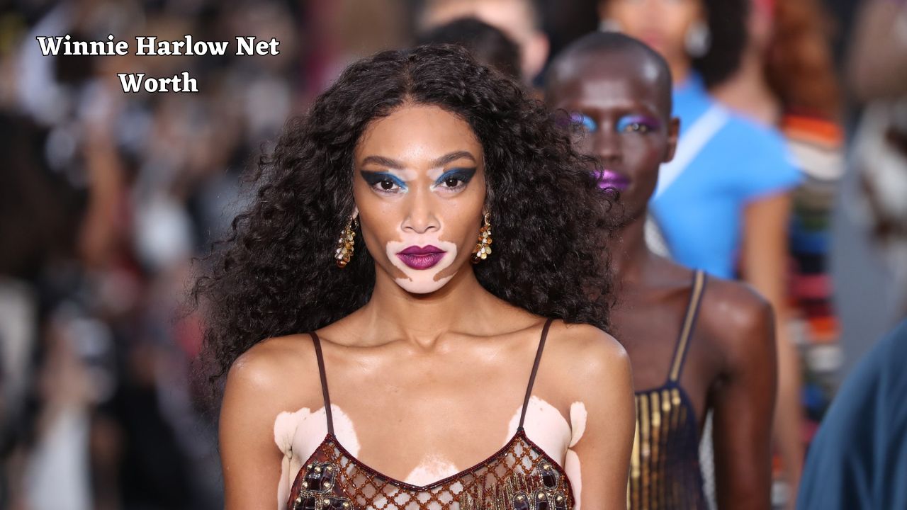 Winnie Harlow net worth