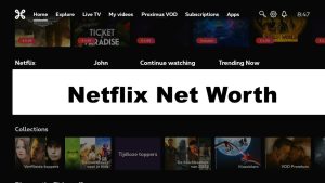 Netflix Net Worth